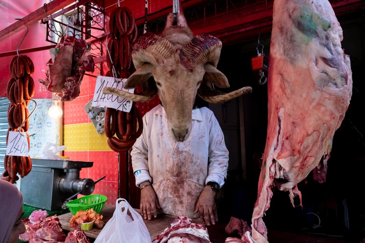 Sheep Head by Andrei Dorian Gavrila, Photograph on dibond, 2024