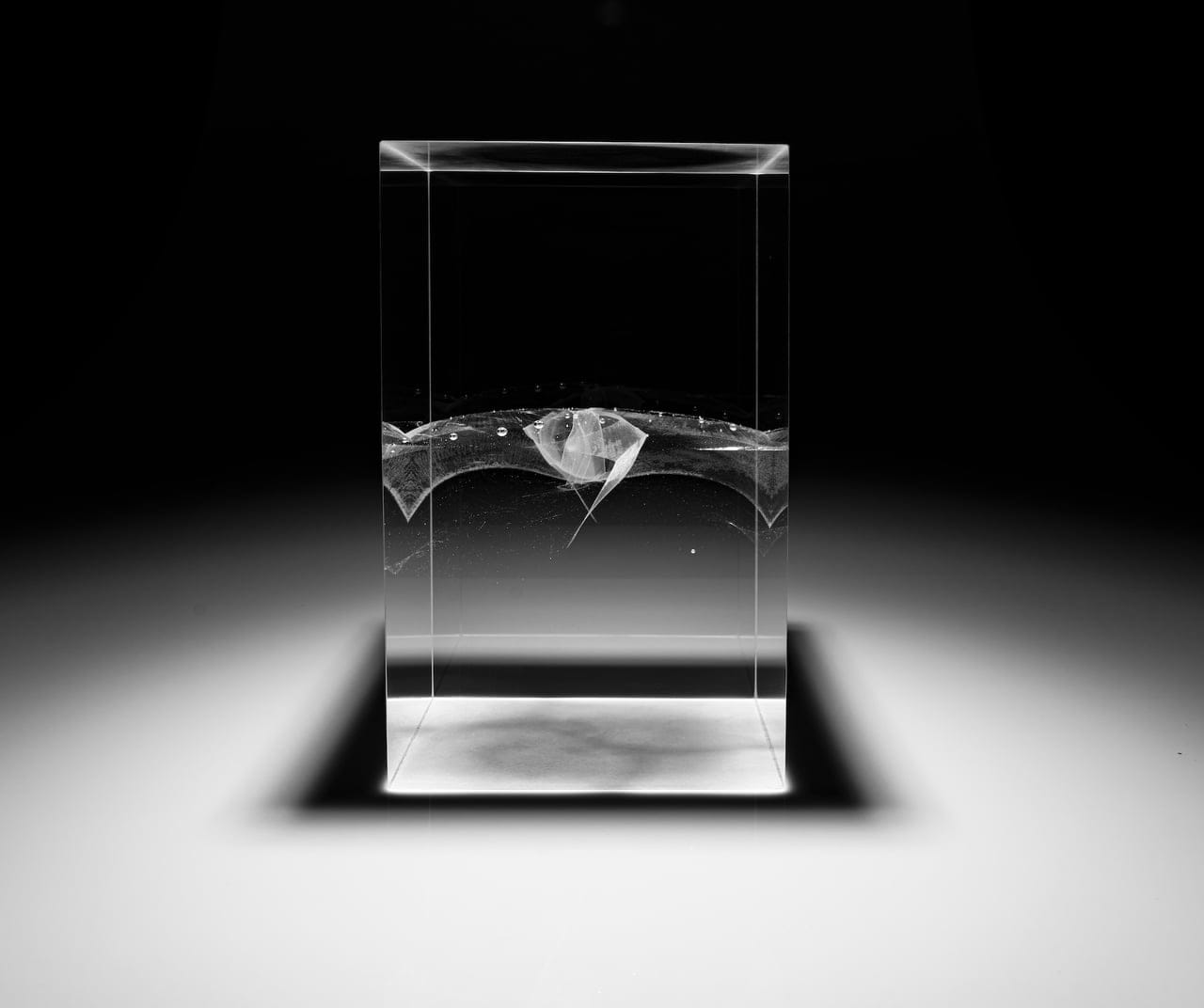 Mitosis by Anna Alsina Bardagí, Glass Sculpture, 2024