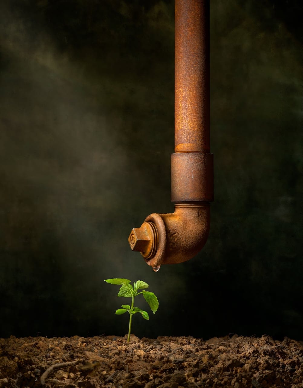 It Is So by Daniel Remer, Archival Pigment Print, 2025