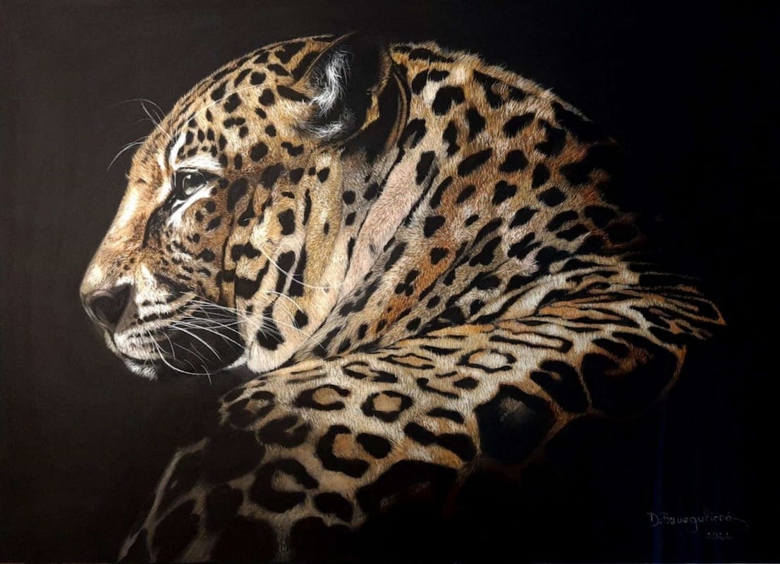 Leopard by Deimante Bruzguliene, Pencil on paper
