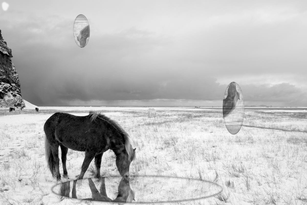 Cheval et Gouttes de Pluie, Cercle de la Vie (Horse and Rainsdrops, Circle of Life) by Jisoo Ahn, Photograph