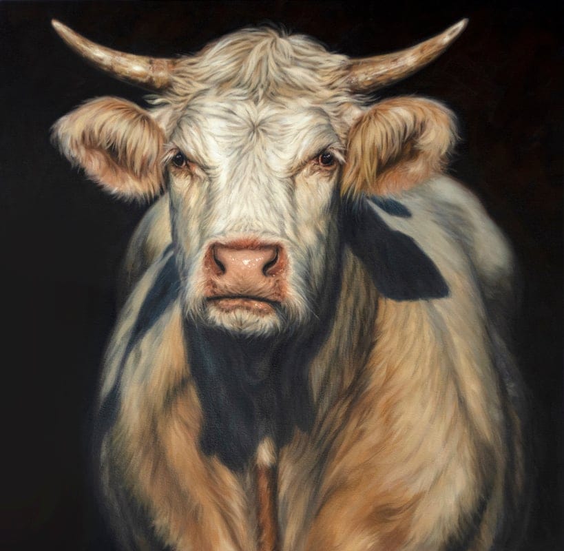 Stellar by Joanne Cope, Oil on canvas