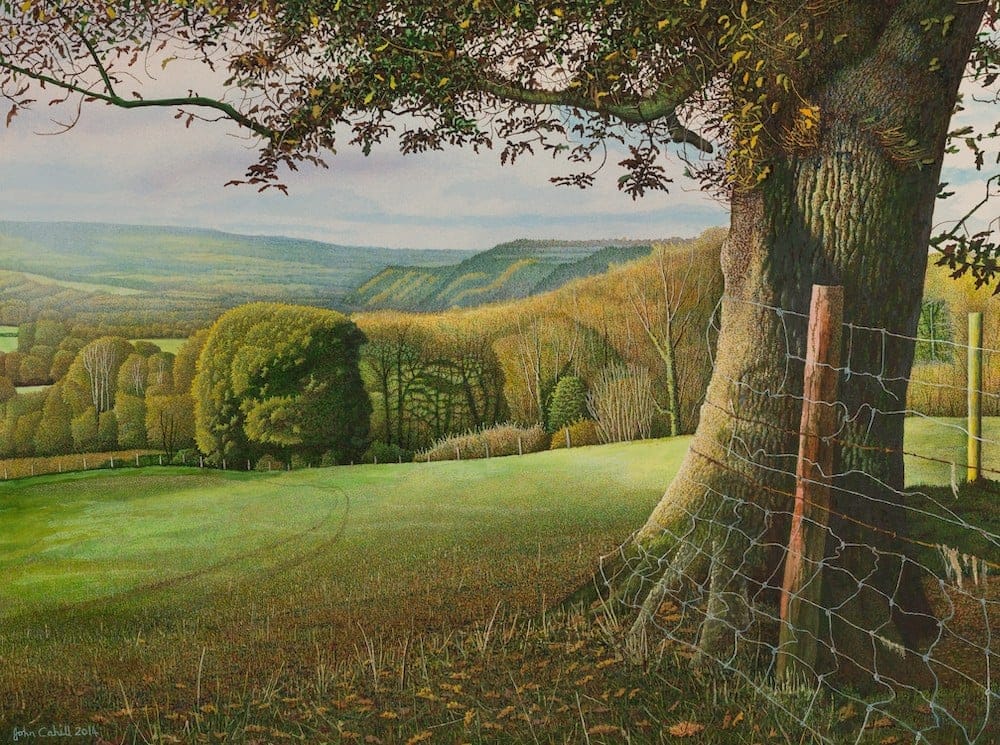 View From Under an Autumn Oak by John Cahill, Acrylic & gouache on paper
