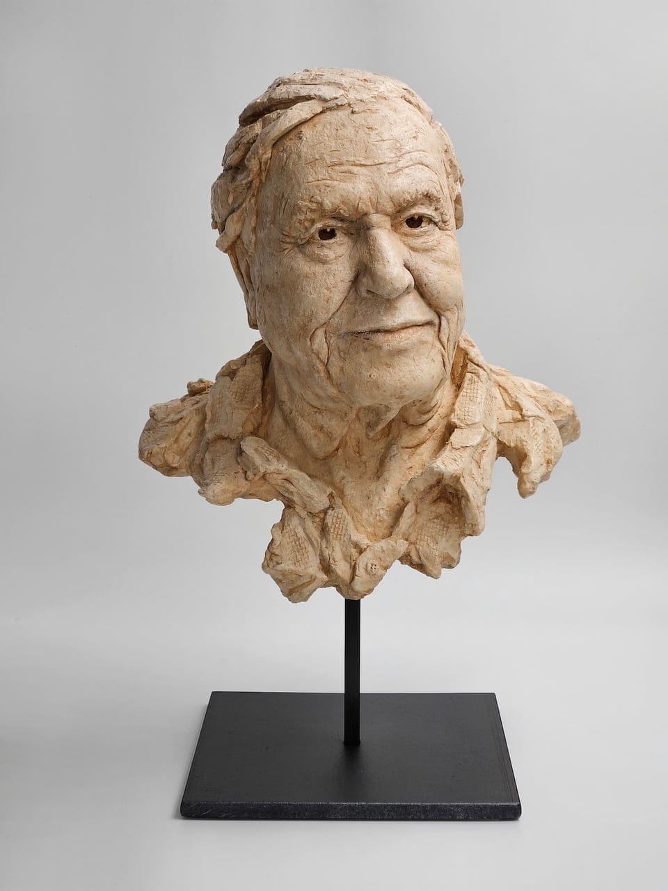SIR DAVID ATTENBOROUGH by John Frank Hoekzema, Resin sculpture, 2023