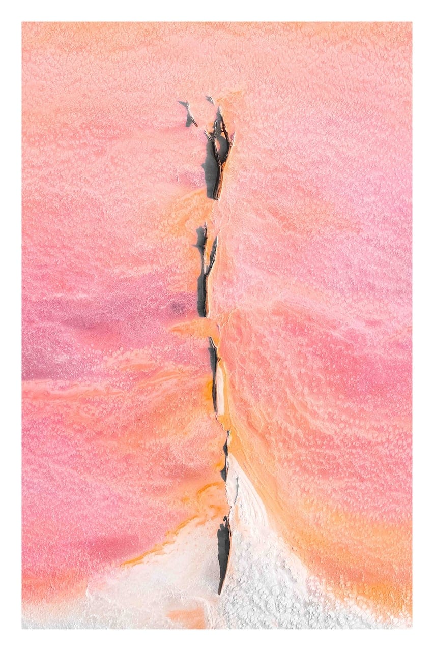 “The Fallen” by Lola Hubner, Photograph on paper, 2023