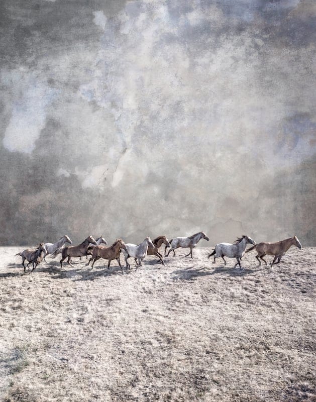 Mountain Mirage: Enigmatic Horses Galloping through a Dreamlike Wilderness by Matt Dusig, Digital Artwork