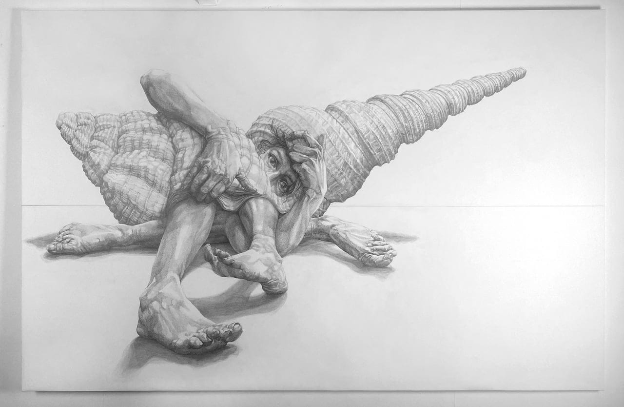 My Protective Shell by Rebecca Lyne, Graphite on Paper, 2025