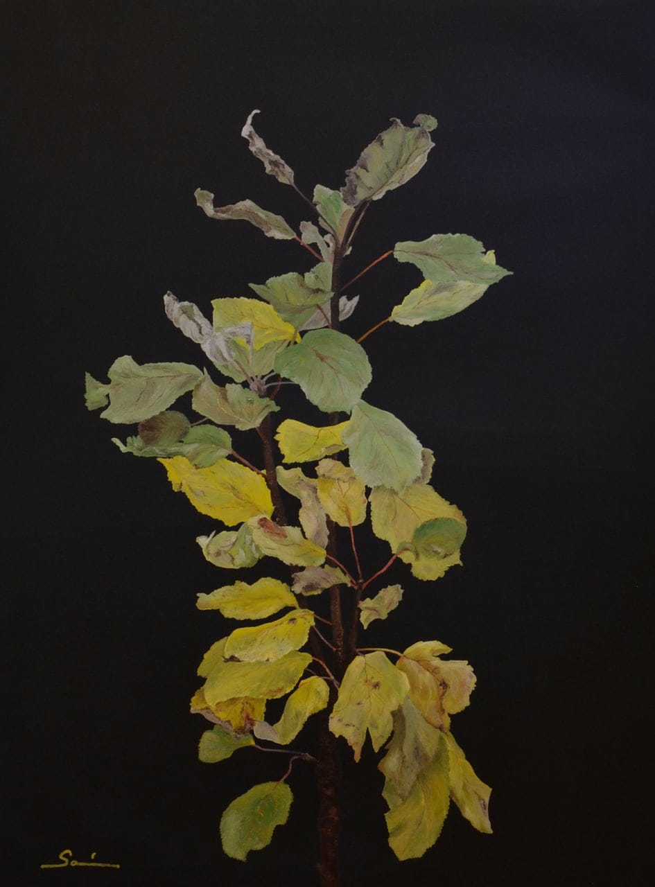 portrait of a young apple tree by Sonia C. Zaez, Oil on canvas, 2025